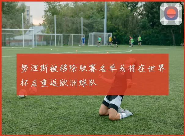 努涅斯被移除联赛名单或将在世界杯后重返欧洲球队